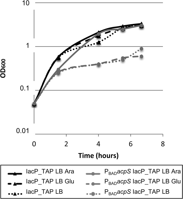 Fig 4