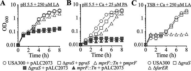 FIG 4