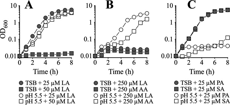 FIG 1