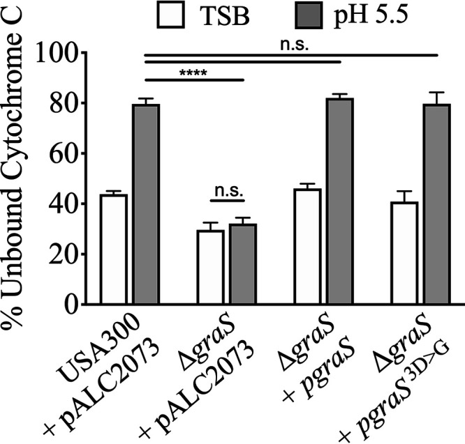 FIG 6