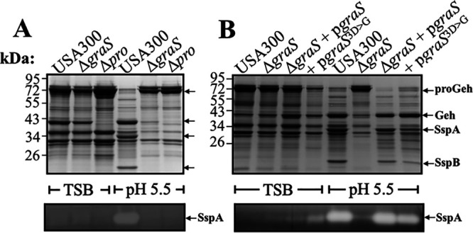 FIG 8