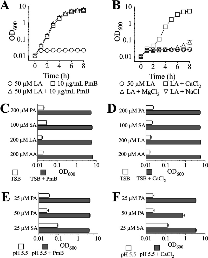 FIG 2