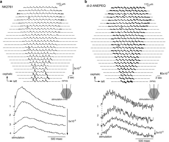 Fig. 2