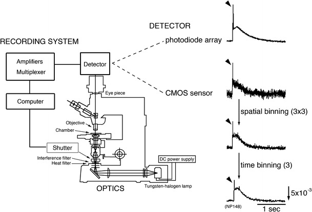 Fig. 1