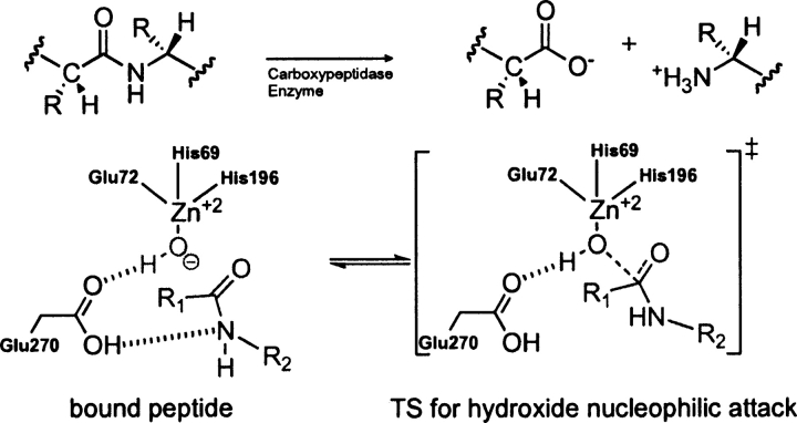 Scheme 6.