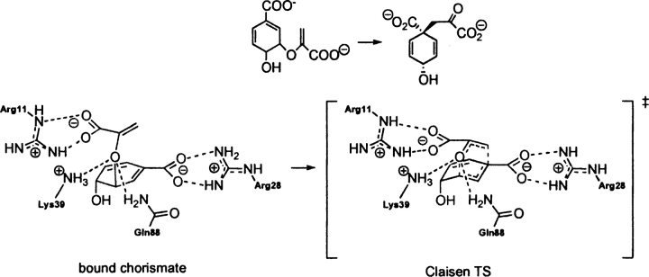 Scheme 9.