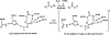 Scheme 3.
