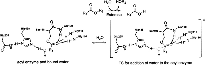 Scheme 3.