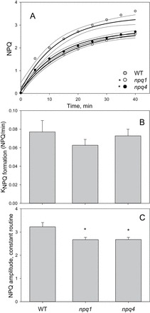 Fig. 9.