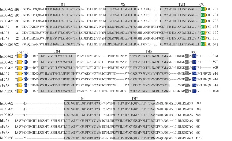 Figure 11—figure supplement 1.