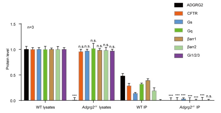 Figure 5—figure supplement 4.