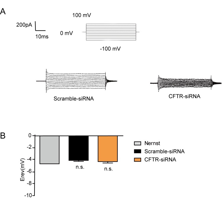 Figure 7—figure supplement 3.