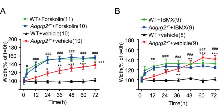 Figure 2—figure supplement 2.