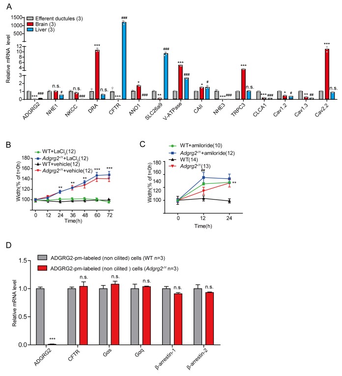 Figure 4—figure supplement 1.