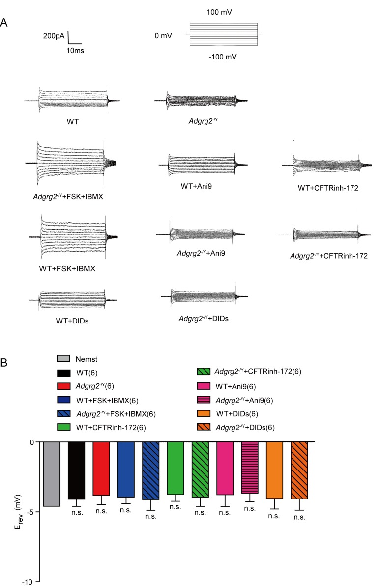 Figure 7—figure supplement 1.