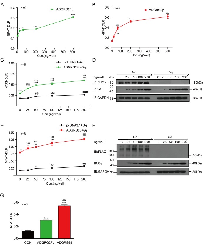 Figure 10—figure supplement 4.