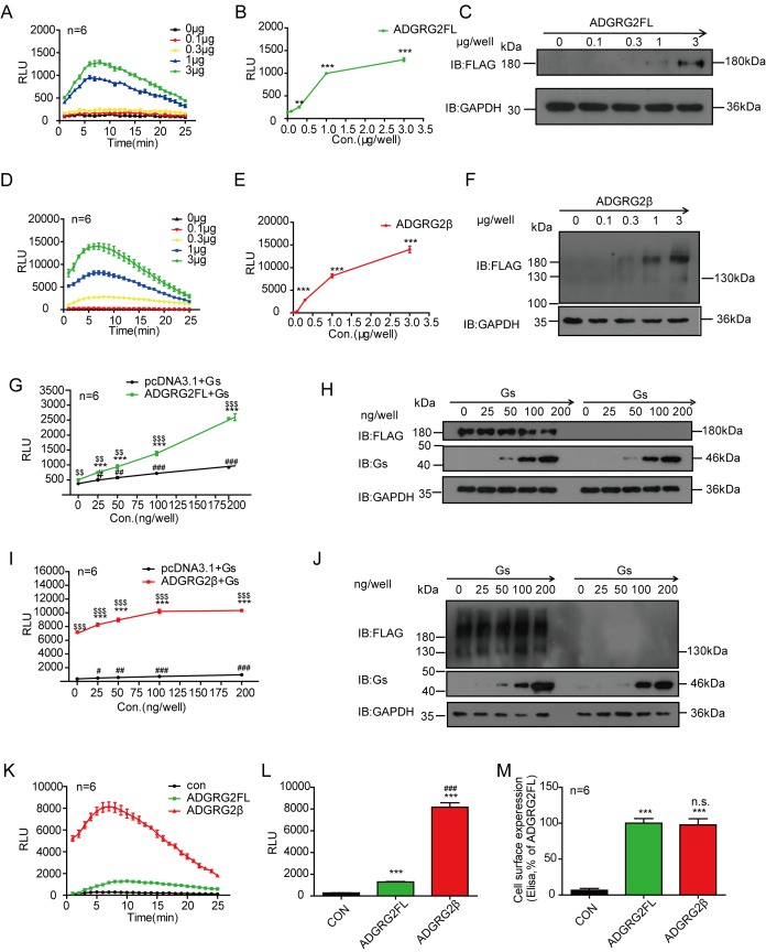 Figure 10—figure supplement 3.