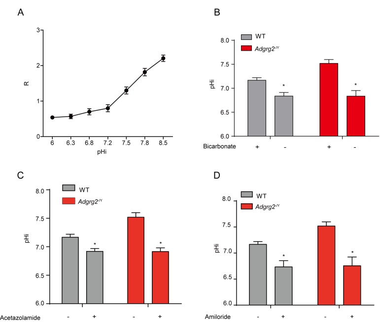 Figure 5—figure supplement 2.