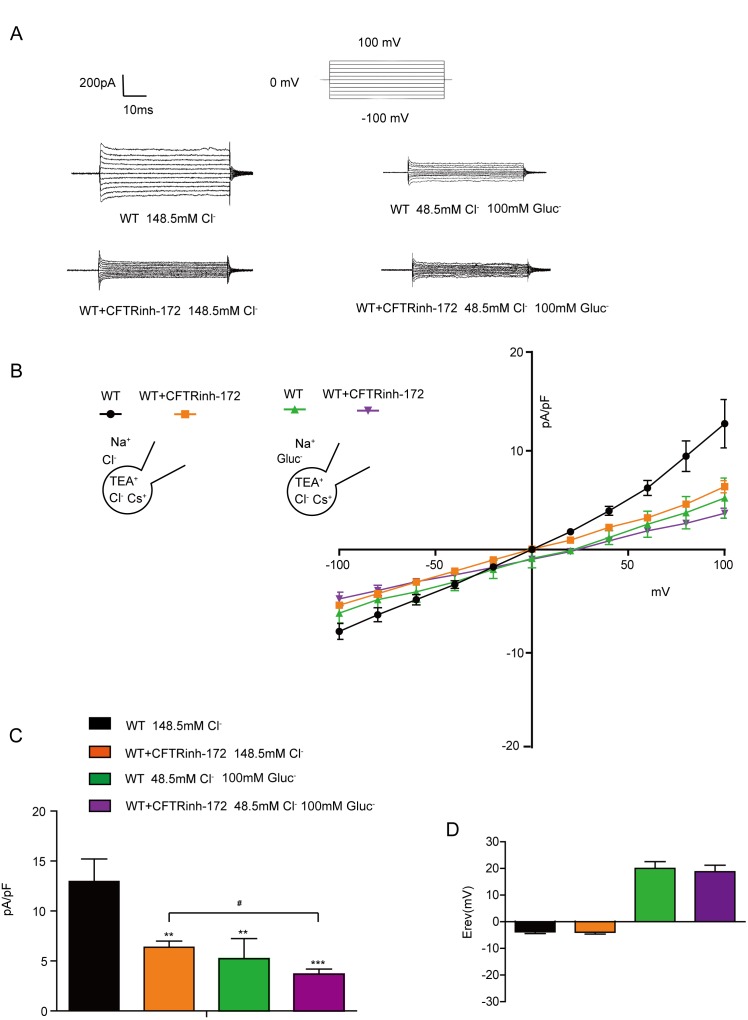 Figure 7—figure supplement 2.