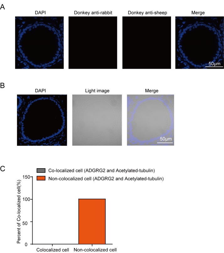 Figure 1—figure supplement 1.