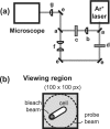 FIG. 1.