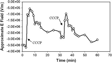 FIGURE 7