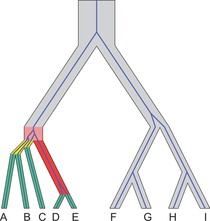 Fig. 1.