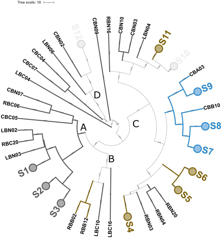 Figure 4