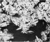 194