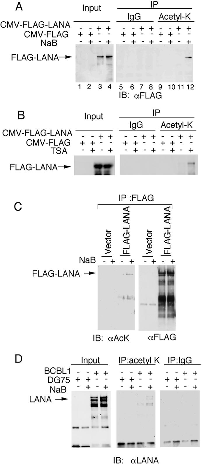 FIG. 5.