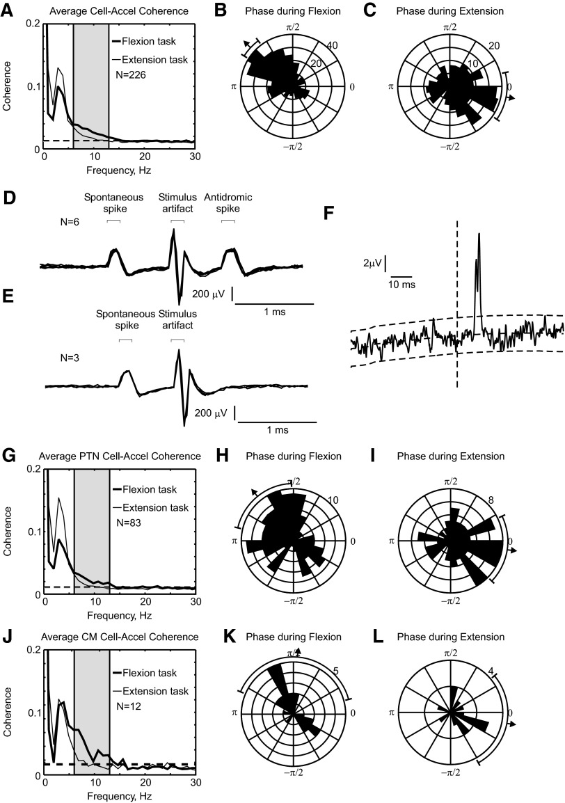 FIG. 10.