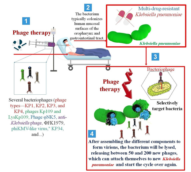 graphic file with name 12985_2024_2450_Figa_HTML.jpg