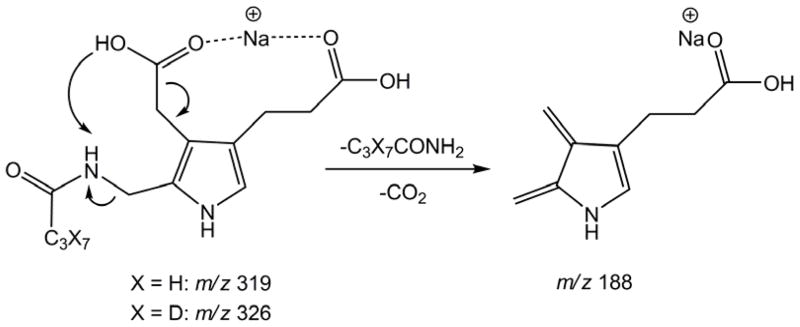 Scheme 2