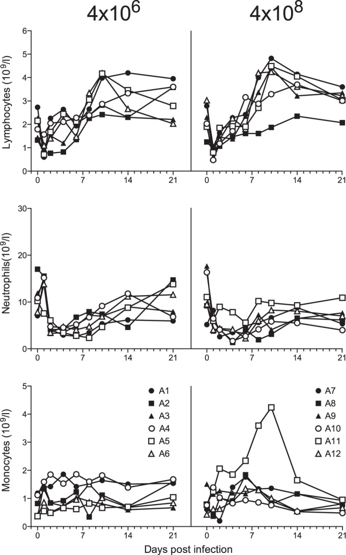 FIG 4