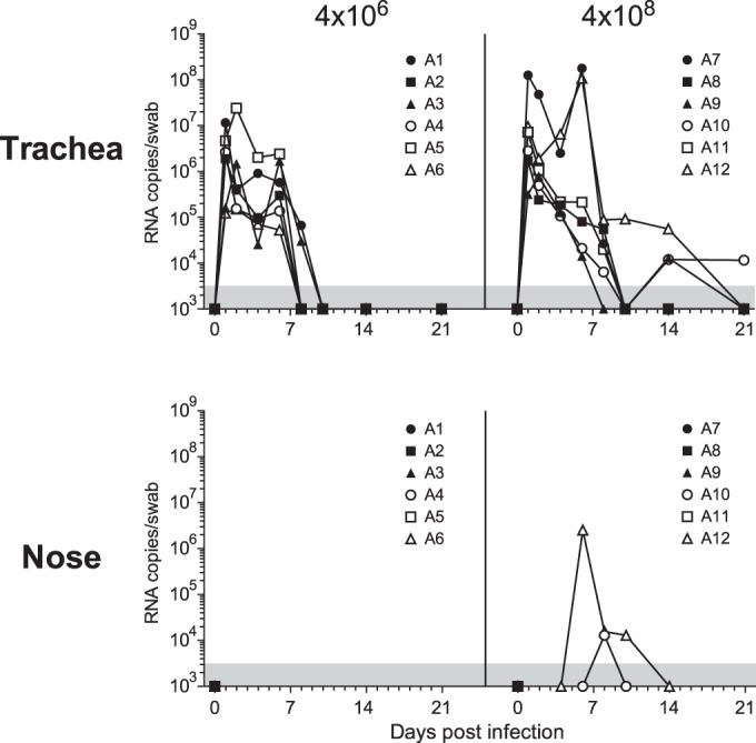 FIG 3