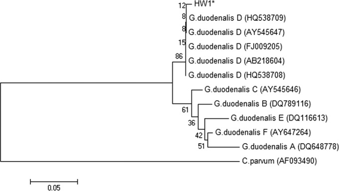 FIG 3