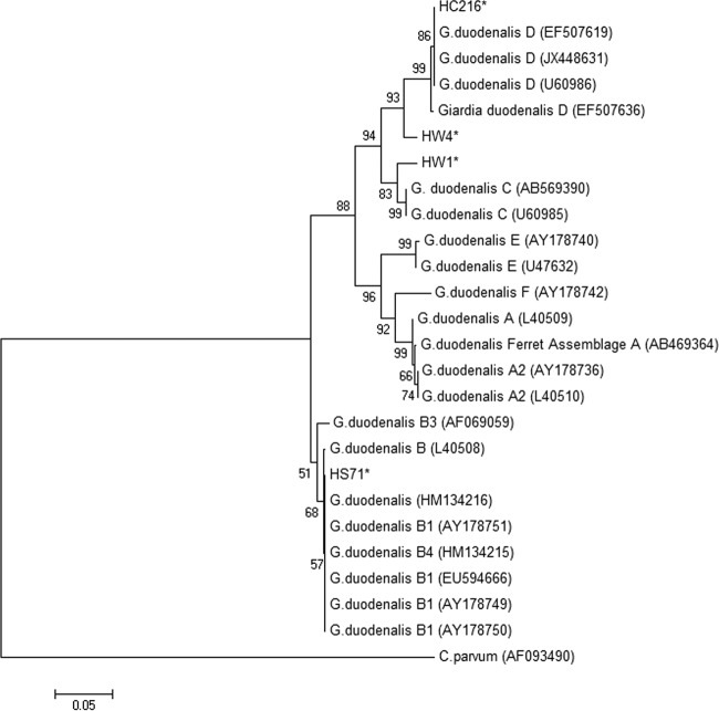 FIG 2