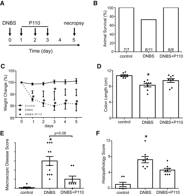 Figure 6