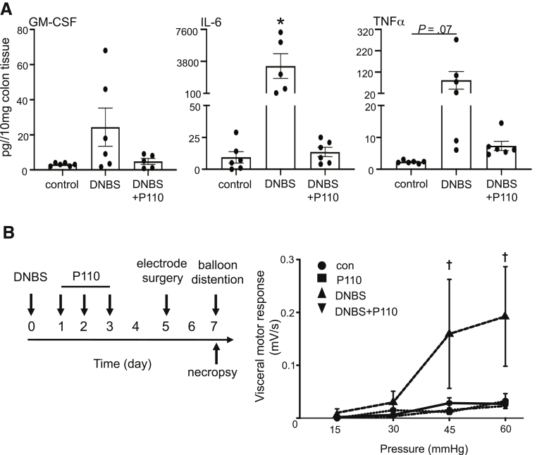 Figure 7