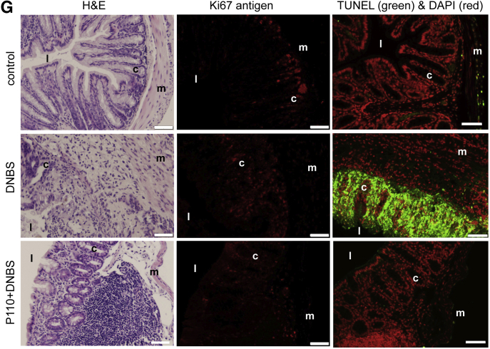 Figure 6