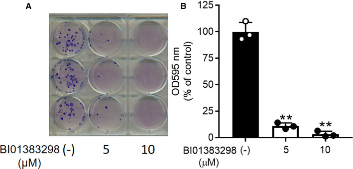 Figure 7.