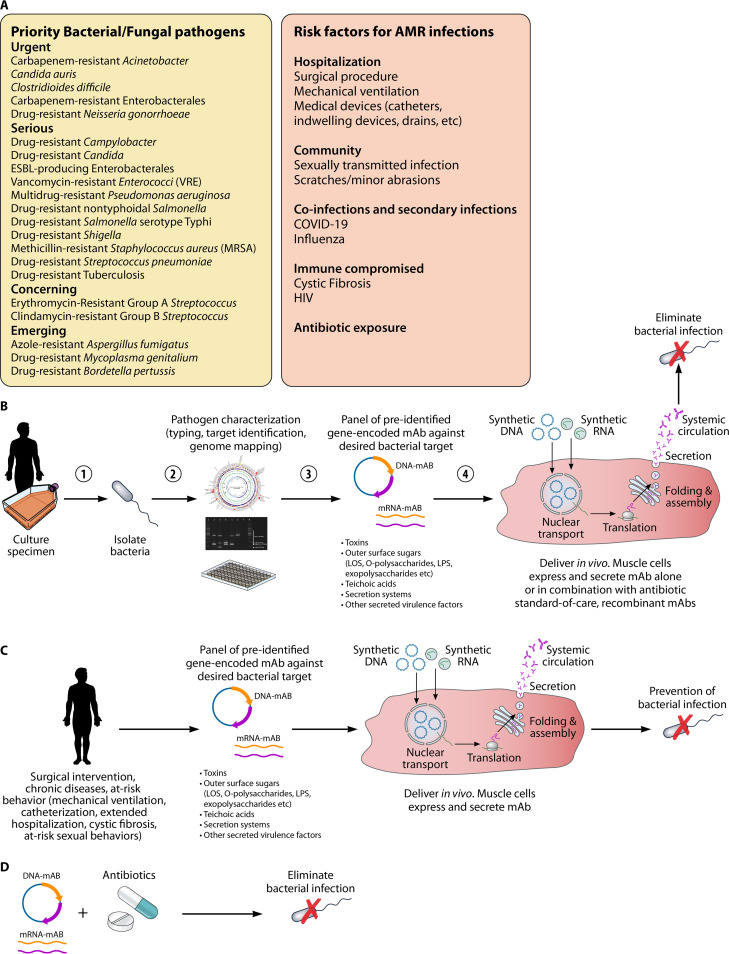 FIG 1