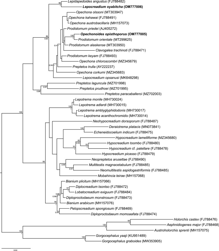 Fig. 3