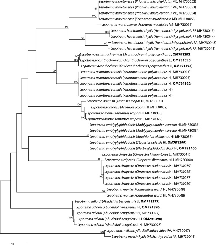 Fig. 1