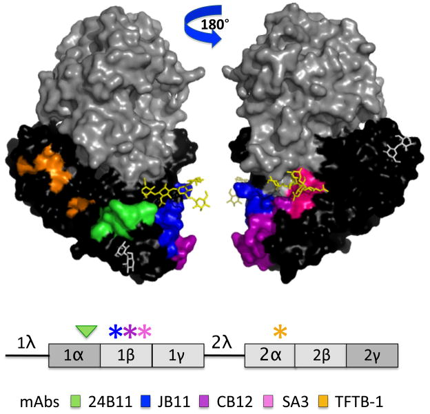 Figure 9