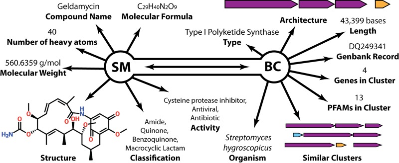 FIG 1 