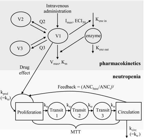 Fig. 3