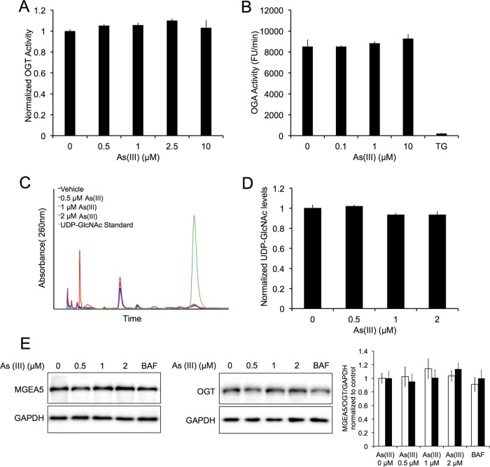 FIG 6