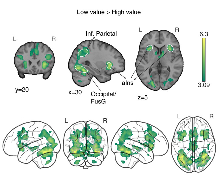 Figure 4—figure supplement 1.