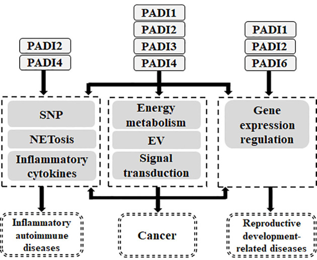 Figure 5